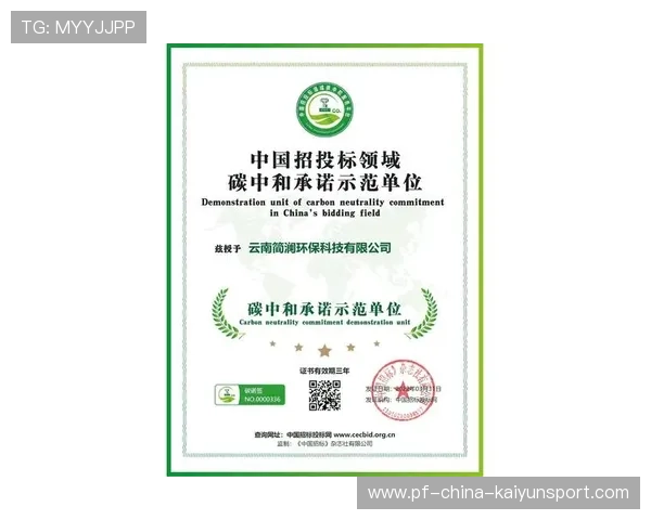 2026世界杯的环保遗产：碳中和承诺兑现了吗？，世界杯环保基金